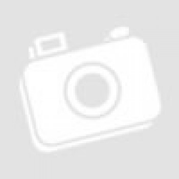 Evolis R3013 Pebble + Dualys Color Half Panel YMCKO - 400 images